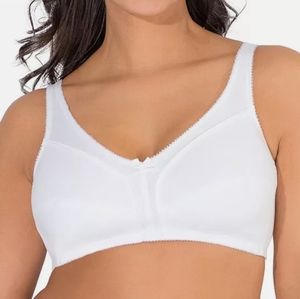 Fruit of the Loom Women's Seamed Unlined Wirefree